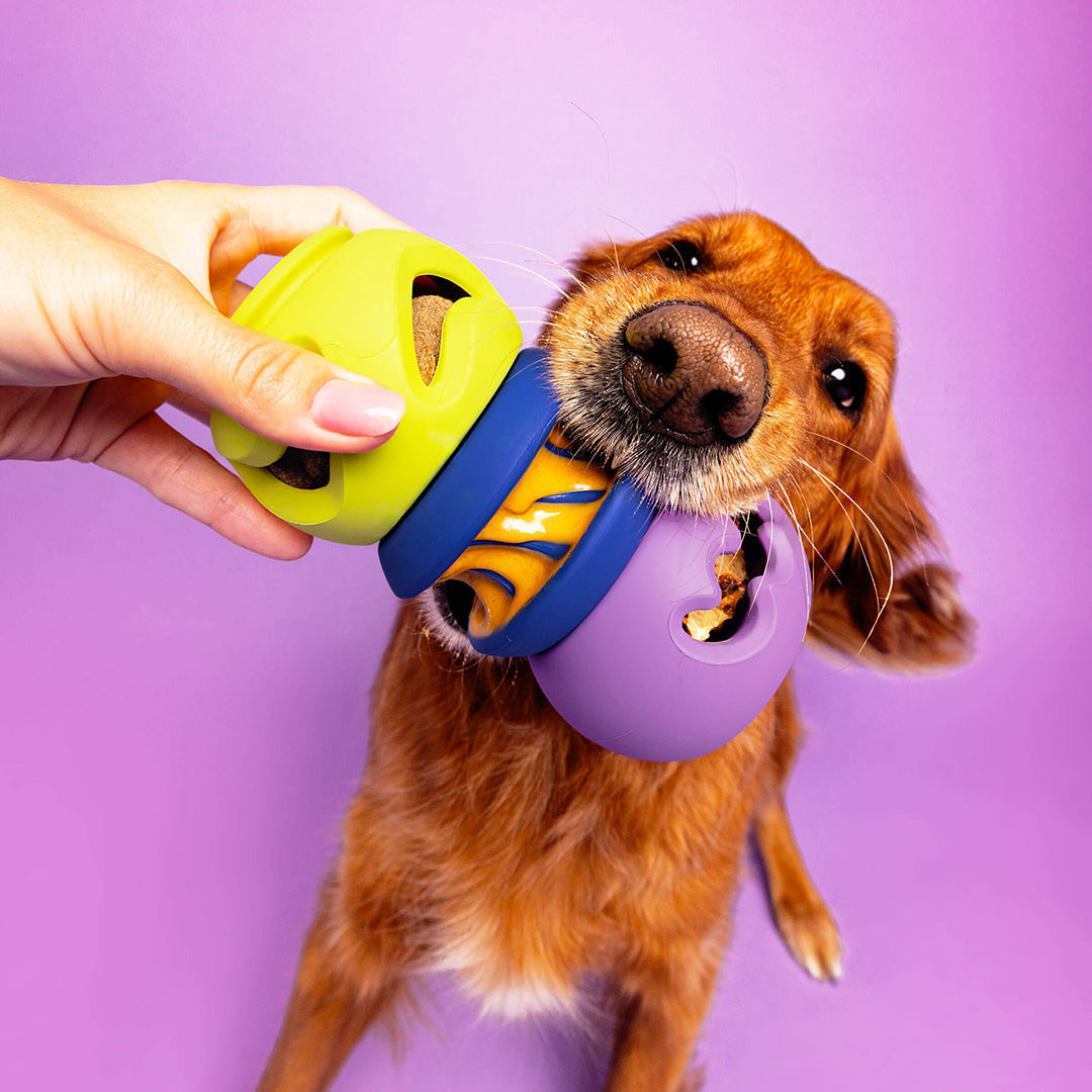 Dog Toys