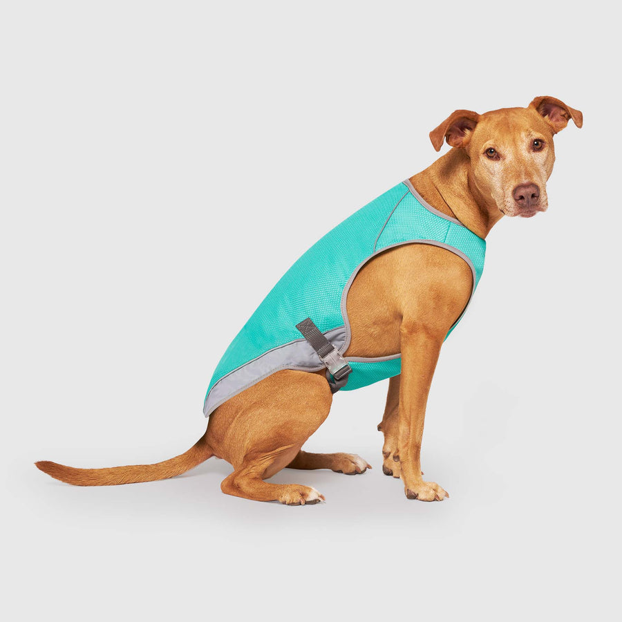Chill Seeker Cooling Vest Wet Reveal | P2004H5V