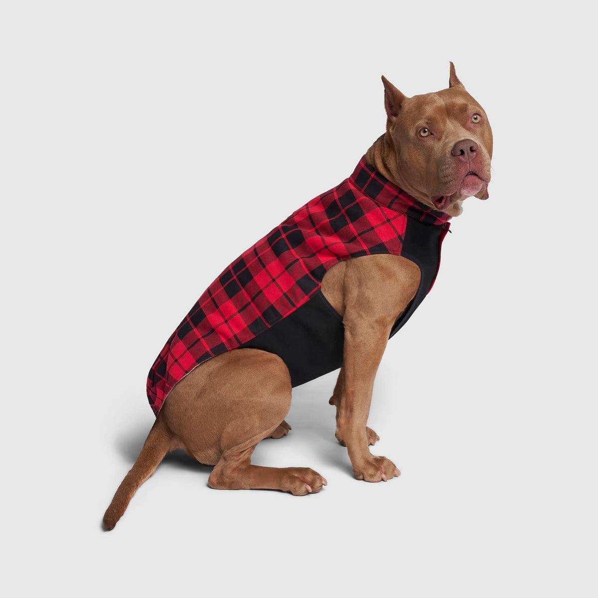 Shop Cool Temps