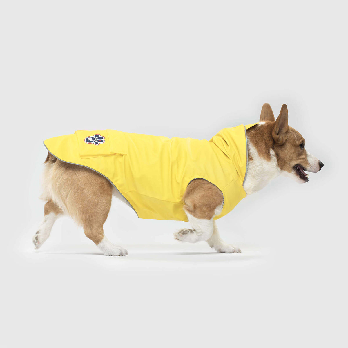 Dog Raincoats