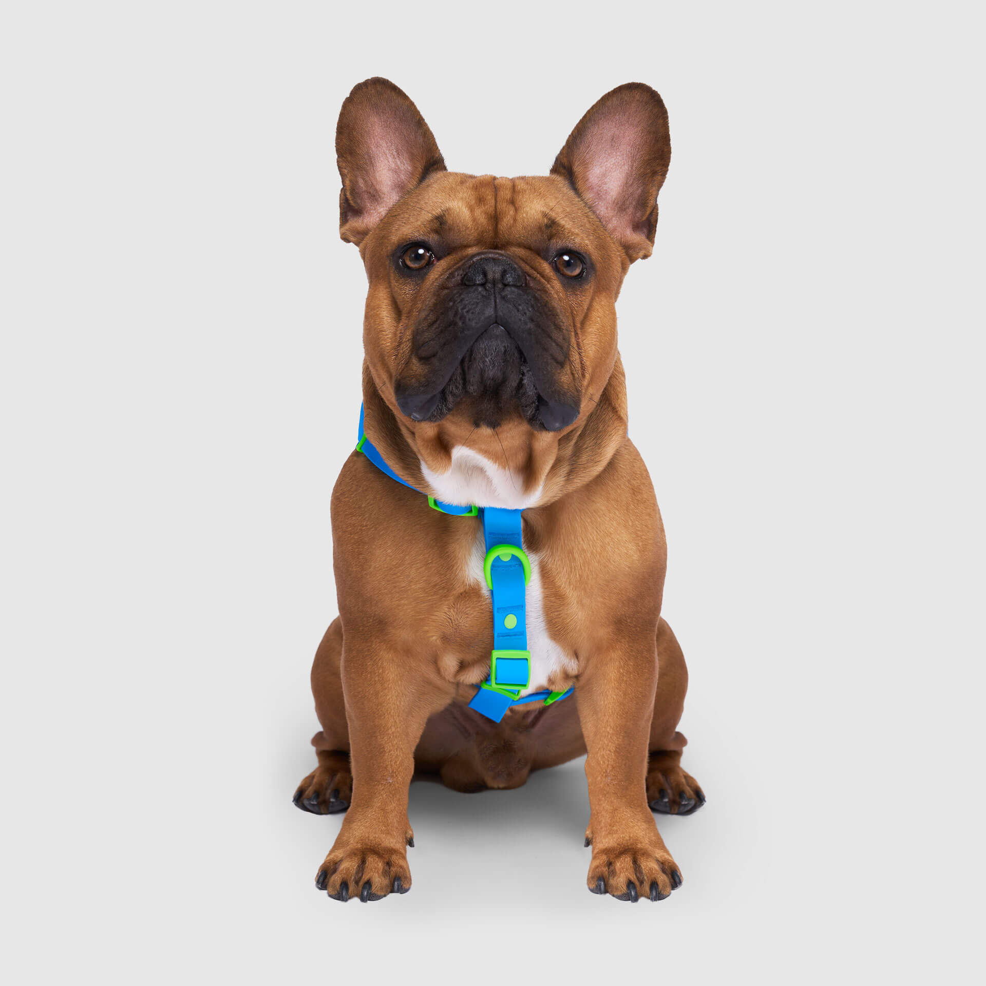 Waterproof Harness